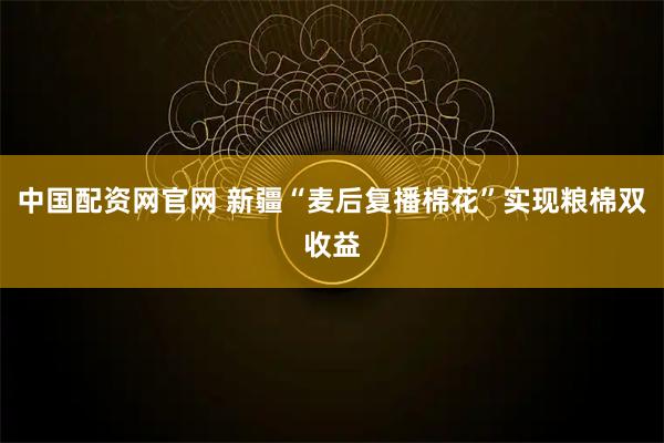 中国配资网官网 新疆“麦后复播棉花”实现粮棉双收益